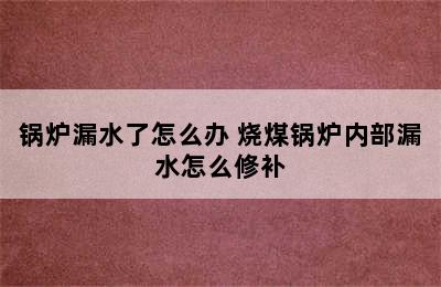 锅炉漏水了怎么办 烧煤锅炉内部漏水怎么修补